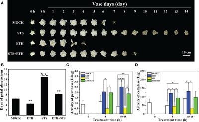 Metabolome and transcriptome integration reveals insights into the process of delayed petal abscission in rose by STS